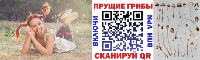 Псилоцибиновые грибы Magic Shrooms  hydra tor  Красноармейск 
