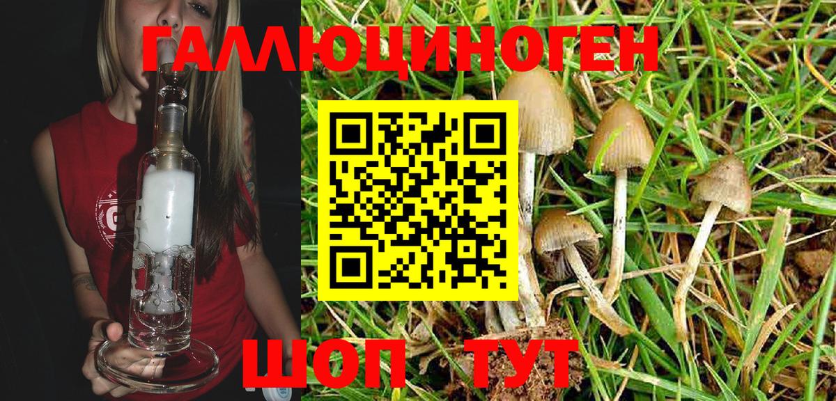 Псилоцибиновые грибы Magic Shrooms  Красноармейск 