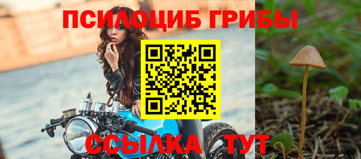 Галлюциногенные грибы прущие грибы  магазин продажи наркотиков  Красноармейск  Вход с VPN 
